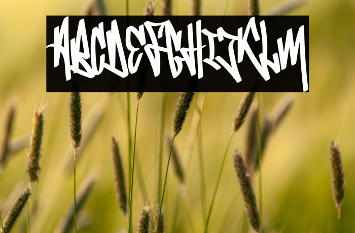 BombardiesDemo Example 1