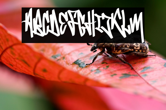 BombardiesDemo Example 3