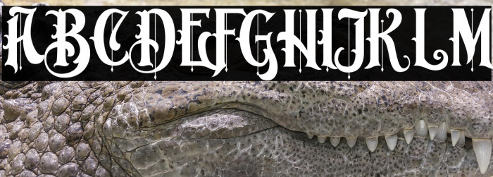 Bombaya Regular Example 3