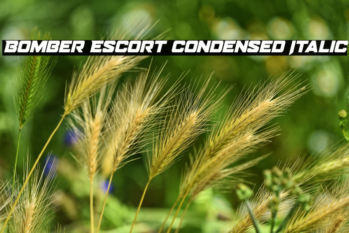 Bomber Escort Condensed Italic Example 2