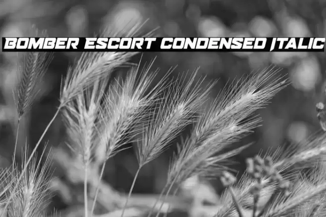 Bomber Escort Condensed Italic Font examples