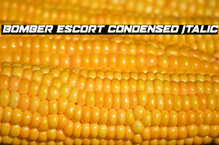 Bomber Escort Condensed Italic Example 3