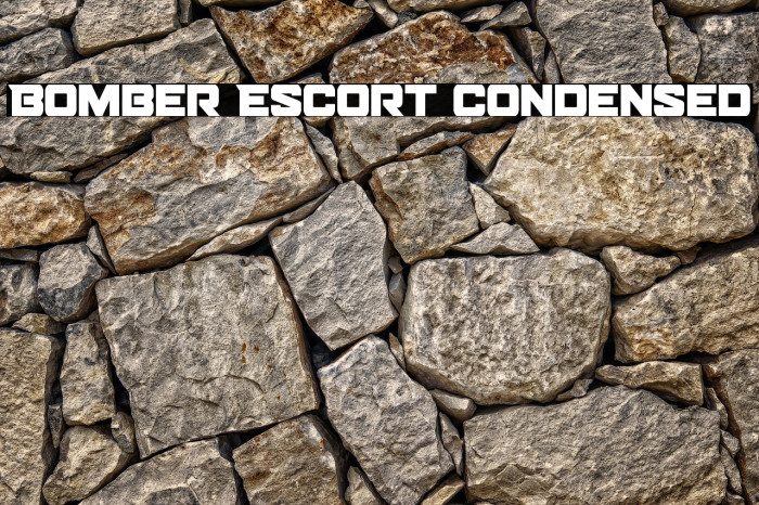 Bomber Escort Condensed Example 3