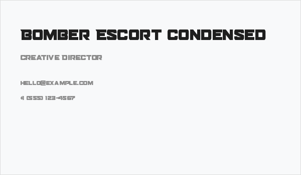 Bomber Escort Condensed Business Card