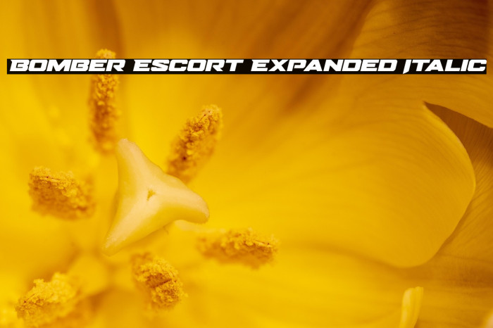 Bomber Escort Expanded Italic Example 1