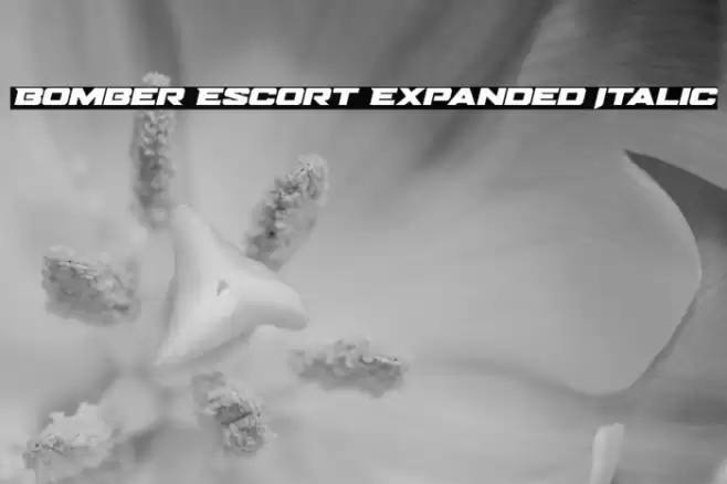 Bomber Escort Expanded Italic Font examples