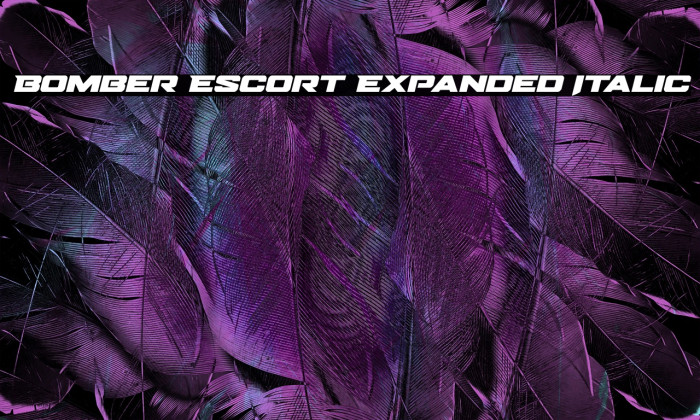 Bomber Escort Expanded Italic Example 3