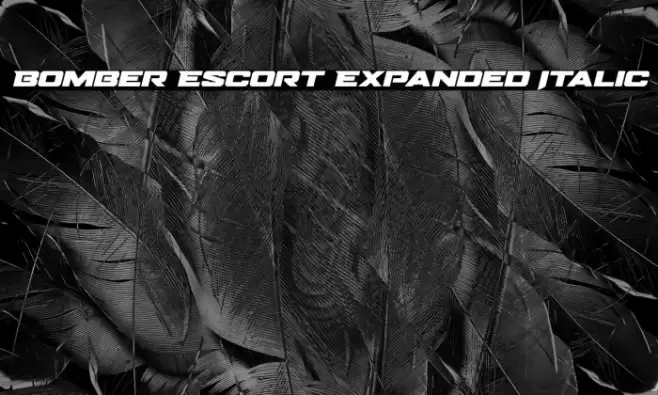 Bomber Escort Expanded Italic Font examples
