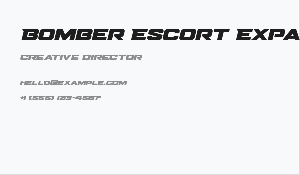 Bomber Escort Expanded Italic Business Card