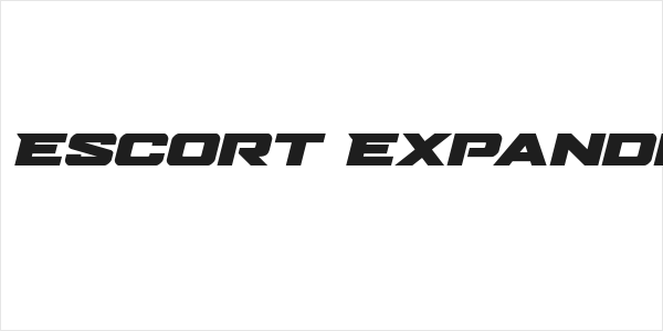 Bomber Escort Expanded Italic Logo