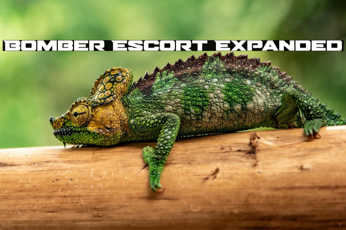 Bomber Escort Expanded Example 2