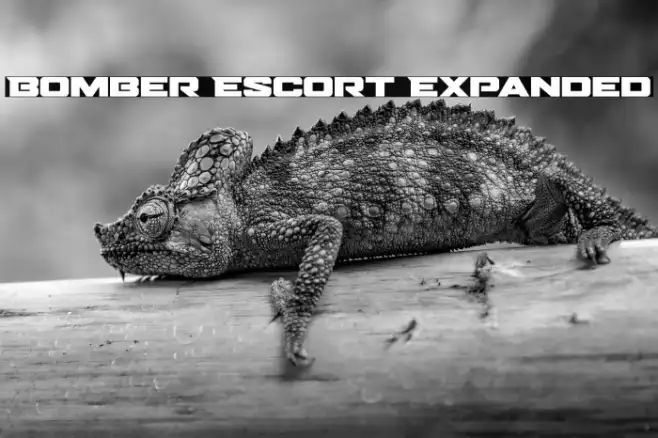 Bomber Escort Expanded Example 2