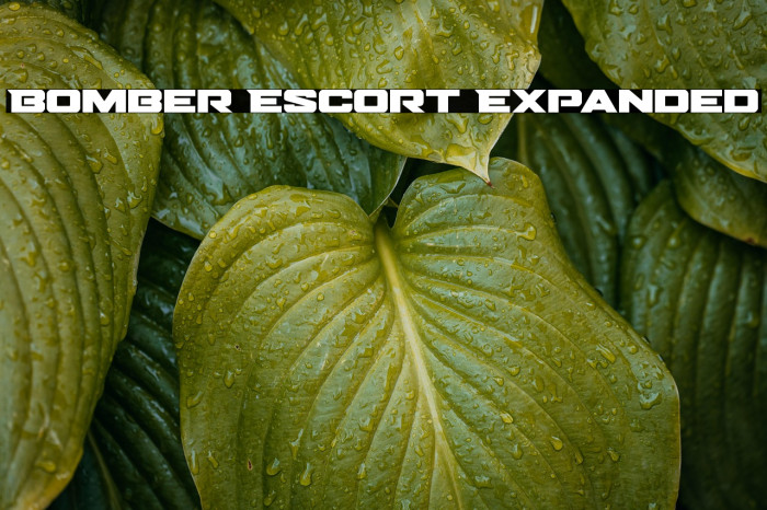 Bomber Escort Expanded Example 3