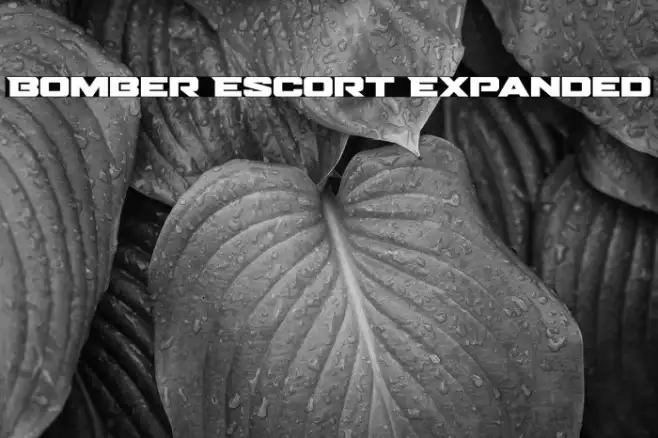 Bomber Escort Expanded Example 3