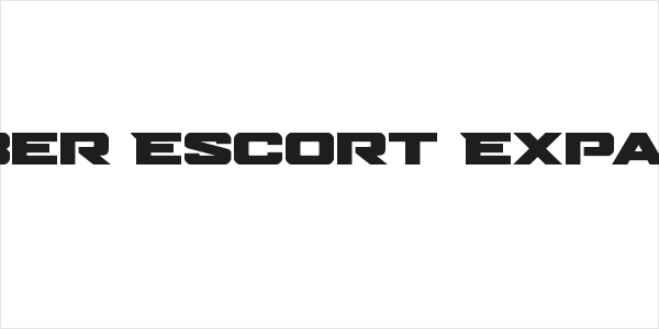 Bomber Escort Expanded Logo