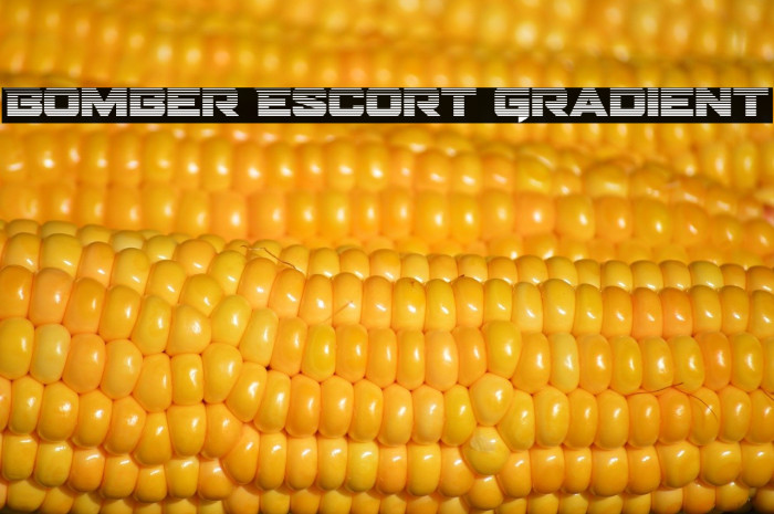 Bomber Escort Gradient Example 2