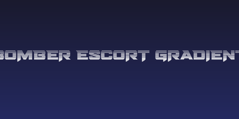 Bomber Escort Gradient Social Header