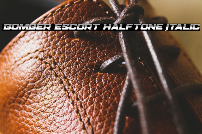 Bomber Escort Halftone Italic Example 1