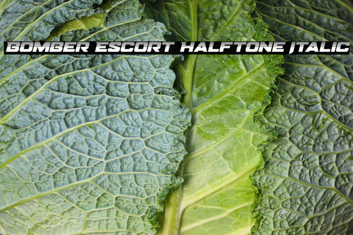 Bomber Escort Halftone Italic Example 2