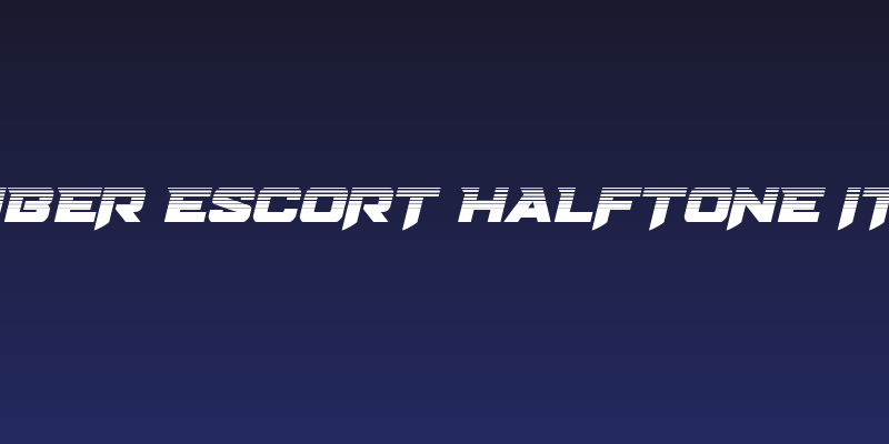 Bomber Escort Halftone Italic Social Header