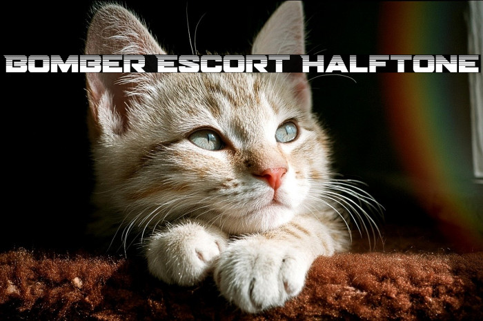 Bomber Escort Halftone Example 2