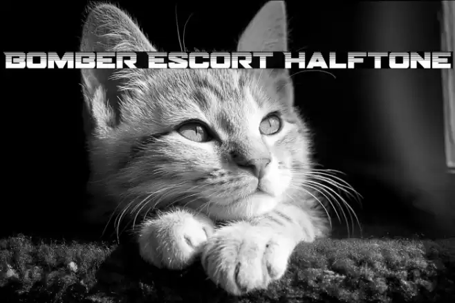 Bomber Escort Halftone Font examples