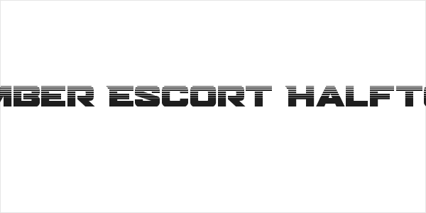 Bomber Escort Halftone Logo