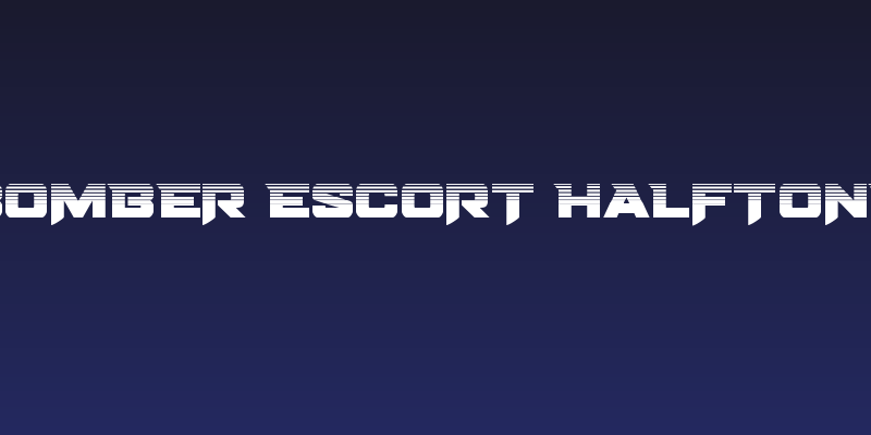 Bomber Escort Halftone Social Header