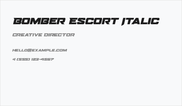 Bomber Escort Italic Business Card