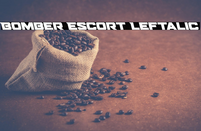Bomber Escort Leftalic Example 3