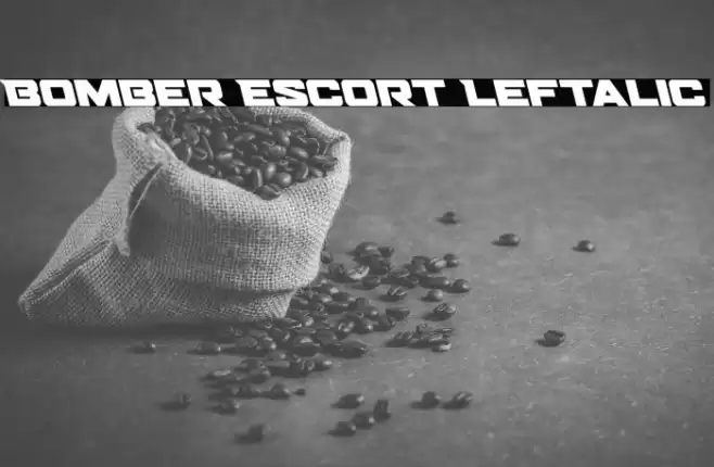 Bomber Escort Leftalic Font examples
