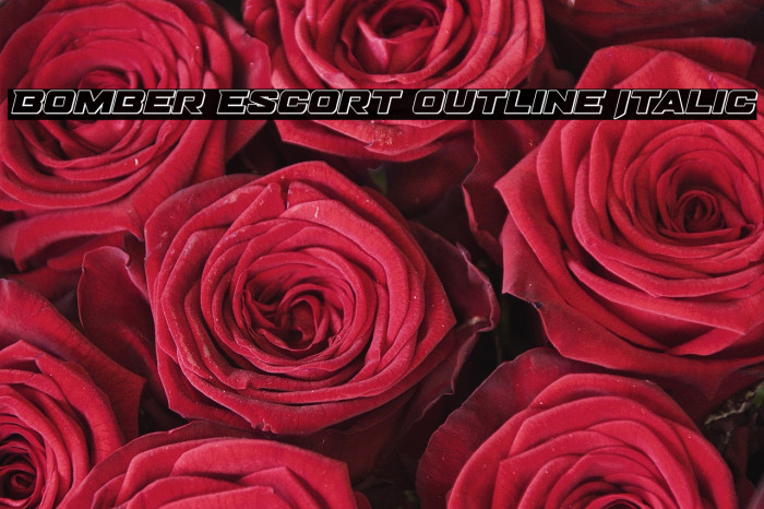Bomber Escort Outline Italic Example 1