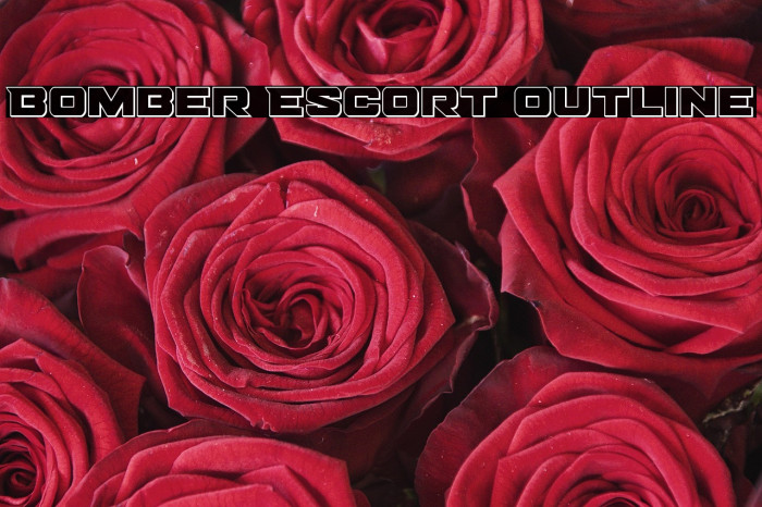 Bomber Escort Outline Example 1