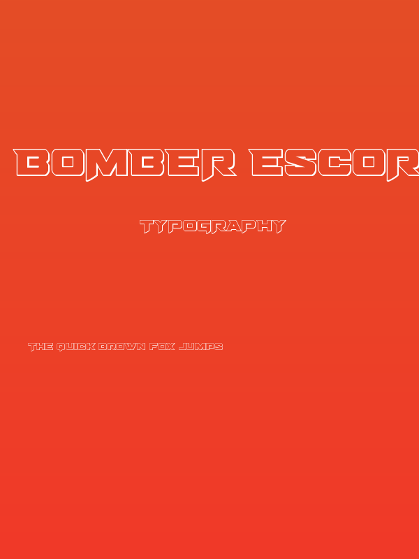Bomber Escort Outline Poster
