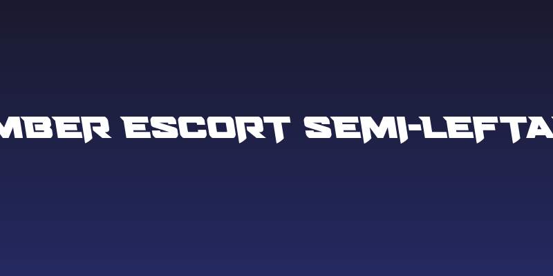 Bomber Escort Semi-Leftalic Social Header