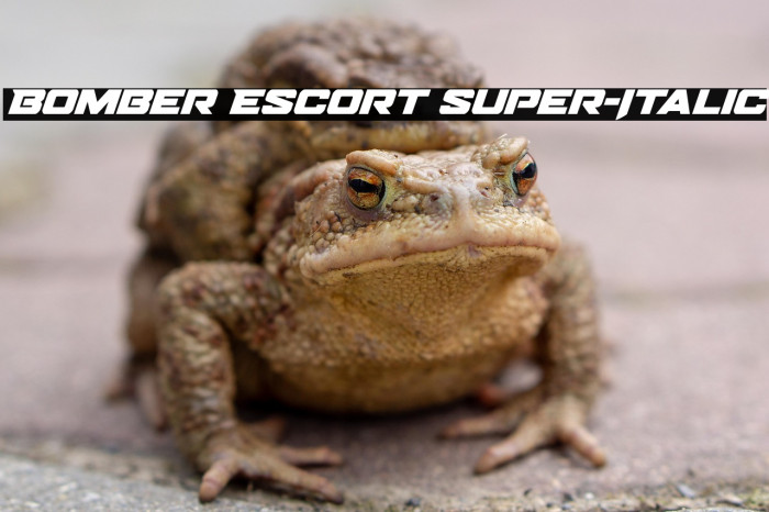 Bomber Escort Super-Italic Example 2