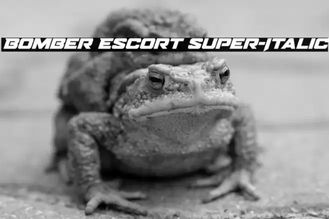 Bomber Escort Super-Italic Font examples