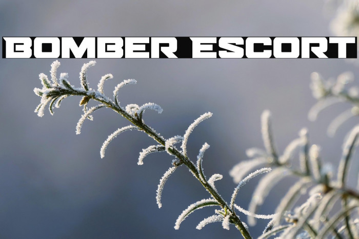 Bomber Escort Example 1