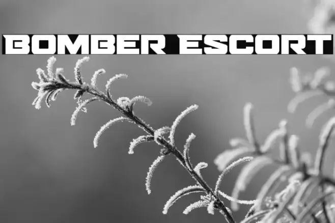 Bomber Escort Example 1