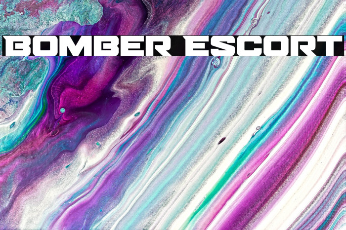 Bomber Escort Example 3