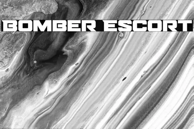 Bomber Escort Example 3