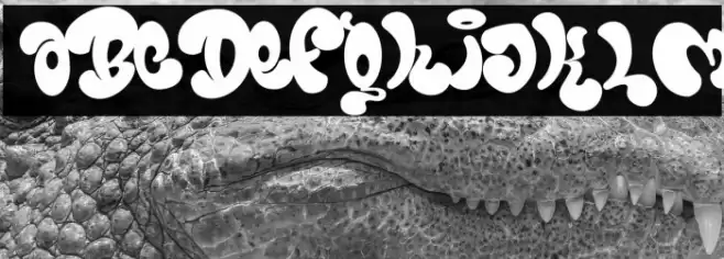 Bomber Marker Шрифта examples