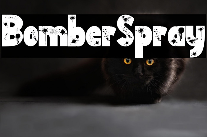 Bomber Spray Example 3