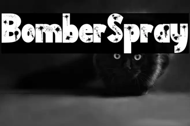 Bomber Spray Example 3