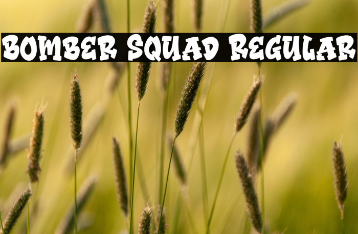 Bomber Squad Regular Example 2