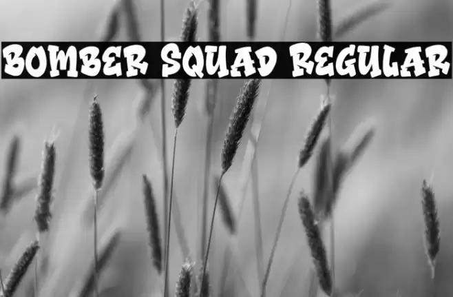 Bomber Squad Regular Font examples