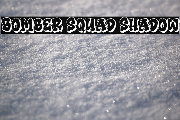 Bomber Squad Shadow Example 2