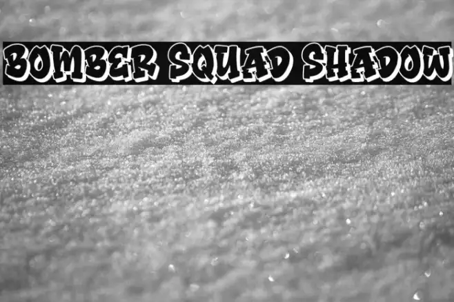 Bomber Squad Shadow Example 2