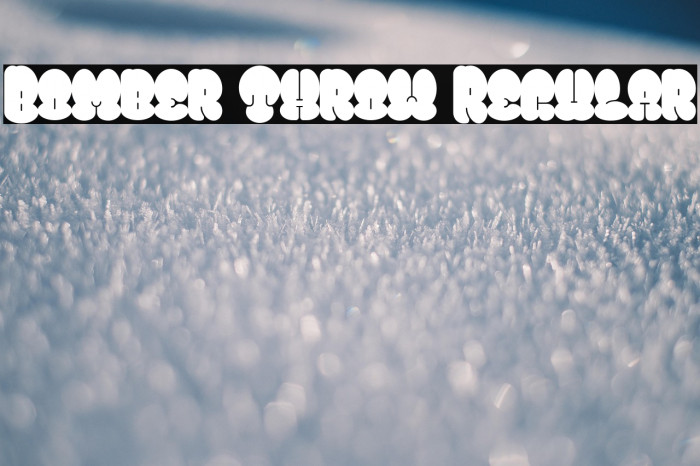 Bomber Throw Regular Example 1