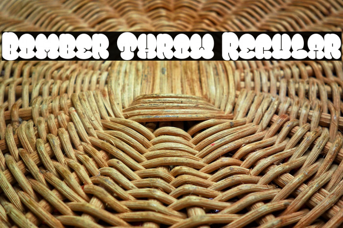 Bomber Throw Regular Example 2